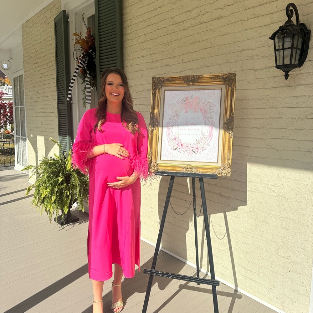 Tuckernuck Pink Feather Sleeve Dress